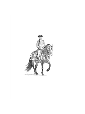 cavalos/escola_equestre/mini/Passage.png