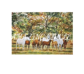 cavalos/eguadas/mini/coudelaria_ferraria.jpg
