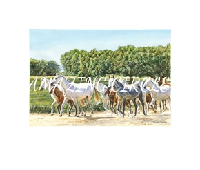 cavalos/eguadas/mini/eguadas-vaz-freire_54x46cm_pequena_1529077792.jpg