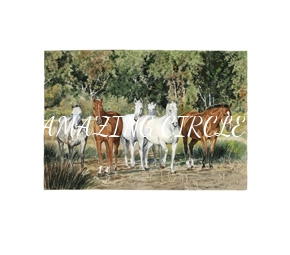 cavalos/eguadas/mini/herdade_do_pinheiro.jpg