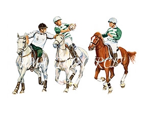 cavalos/modalidades/mini/horseball_1461073616.jpg