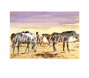 cavalos/eguadas/mini/serrao_de_faria.jpg
